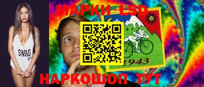 стафф Шебекино