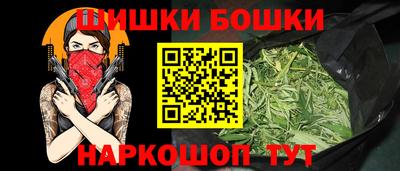 СК Шахты