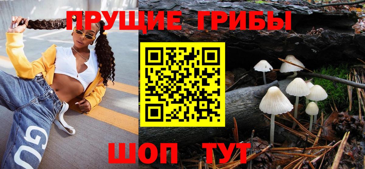 Галлюциногенные грибы Cubensis  Вход с VPN  Сланцы 