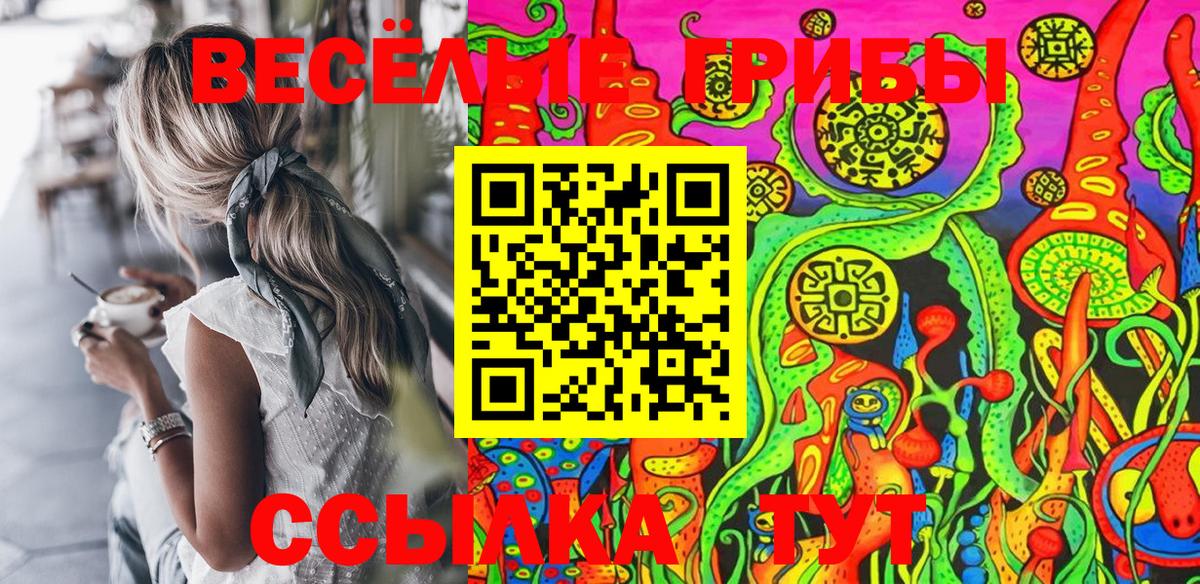 Псилоцибиновые грибы прущие грибы Сланцы